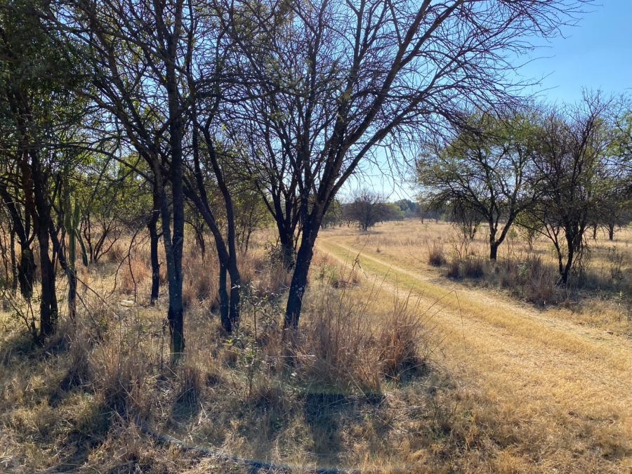5 Bedroom Property for Sale in Koster North West